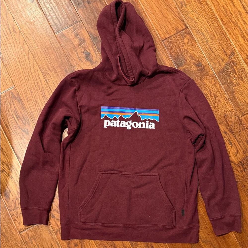 Patagonia Men's Maroon Hoodie
